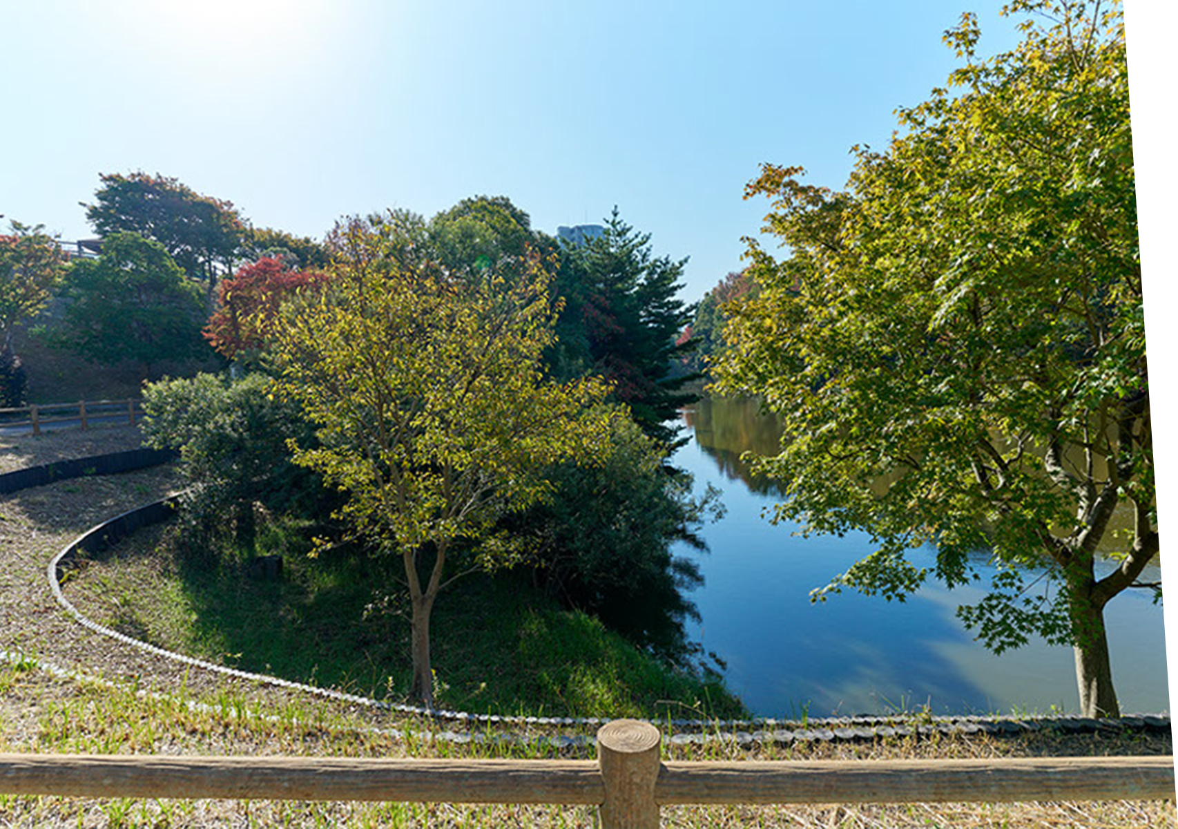 山の神池公園