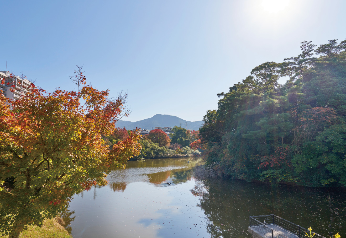 山の神池公園
